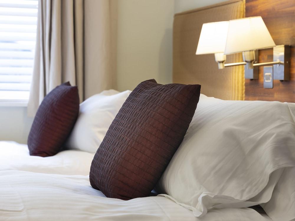 The Headland Hotel And Spa New Quay Eksteriør billede